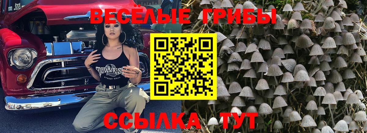 Псилоцибиновые грибы прущие грибы  Псилоцибиновые грибы Psilocybe  Вход с VPN  хочу   Тулун 